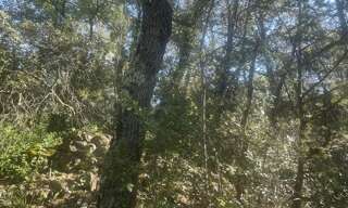 Terrain  10411 m² à vendre à Lorgues (83510)