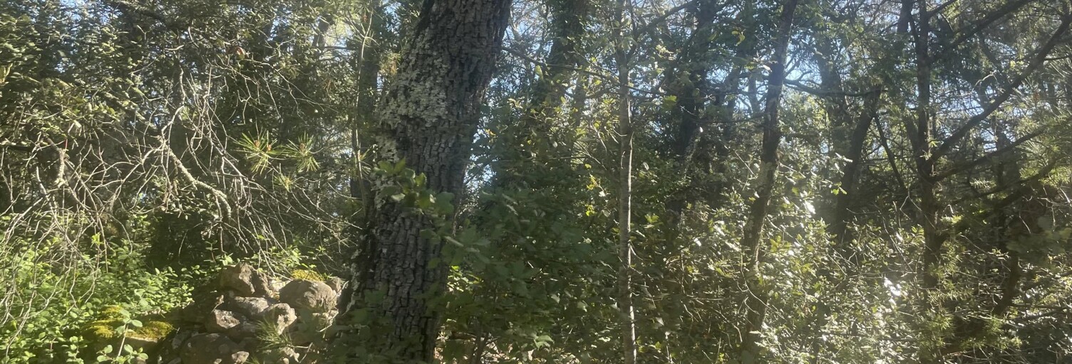 Terrain  10411 m² à vendre à Lorgues (83510)