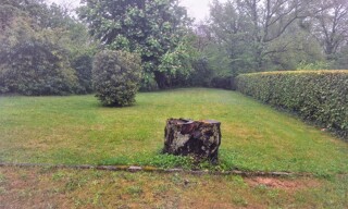 Photo N° 4