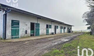 Photo N° 4