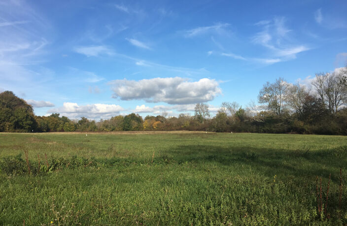 Terrain 1300m² - Saint Germain d'Esteuil — photo 2