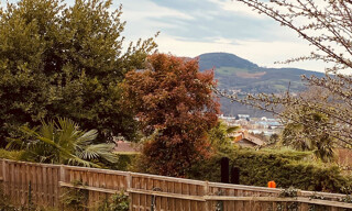 Terrain  550 m² à vendre à Genay (69730)