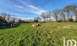 Maison 7 Pièces 186 m² à vendre à Yvignac-la-Tour (22350)