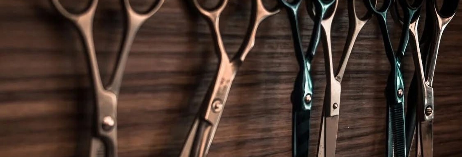 Commerce  30 m² à vendre à Sauve (30610)