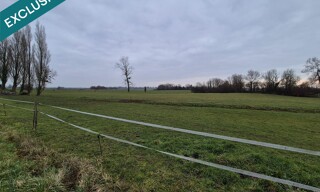 Photo N° 6