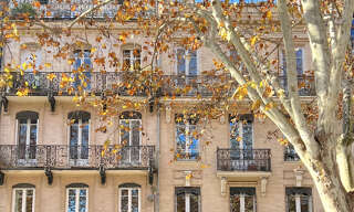 Appartement 4 Pièces 158 m² à vendre à Toulouse (31000)