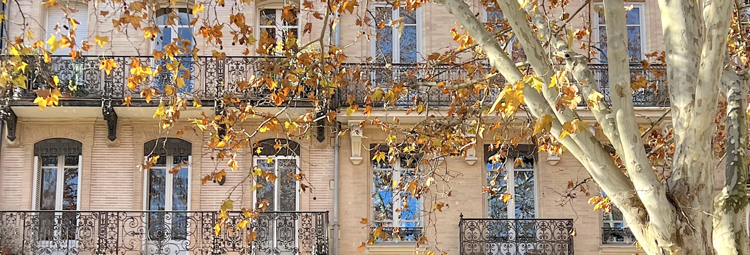 Appartement 4 Pièces 158 m² à vendre à Toulouse (31000)