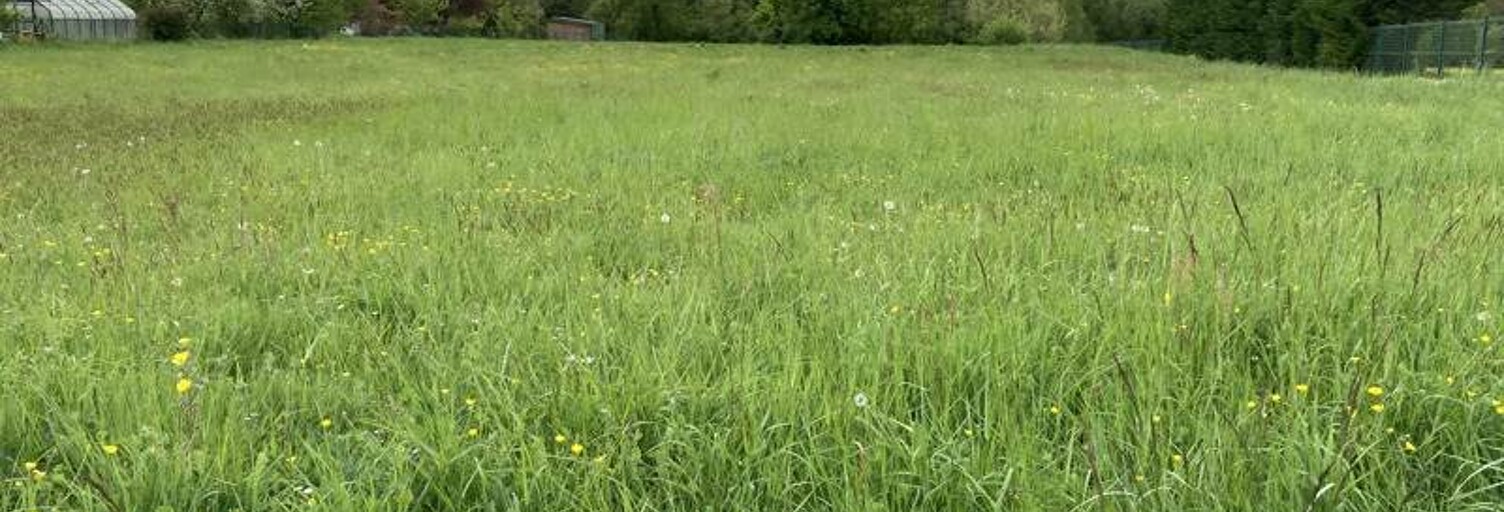 Terrain  4265 m² à vendre à Rillé (37340)