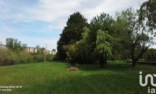 Photo N° 6