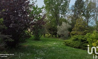 Photo N° 8