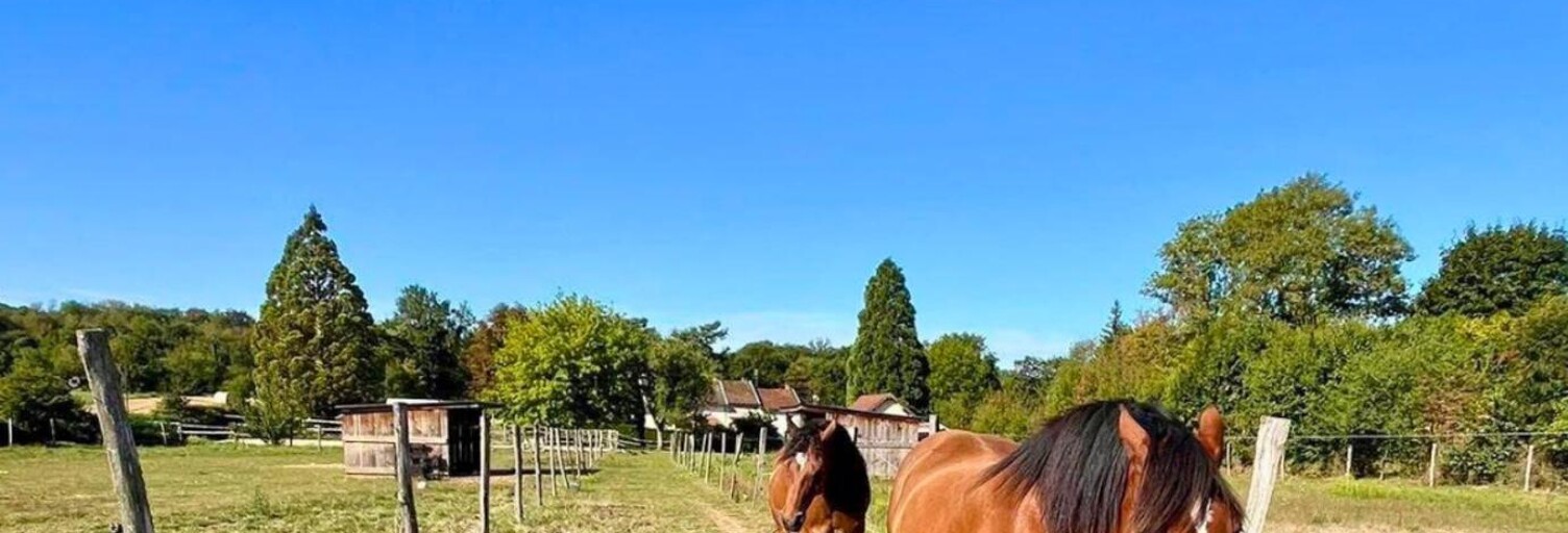 Maison 125 Pièces 130 m² à vendre à Ambérieu-en-Bugey (01500)