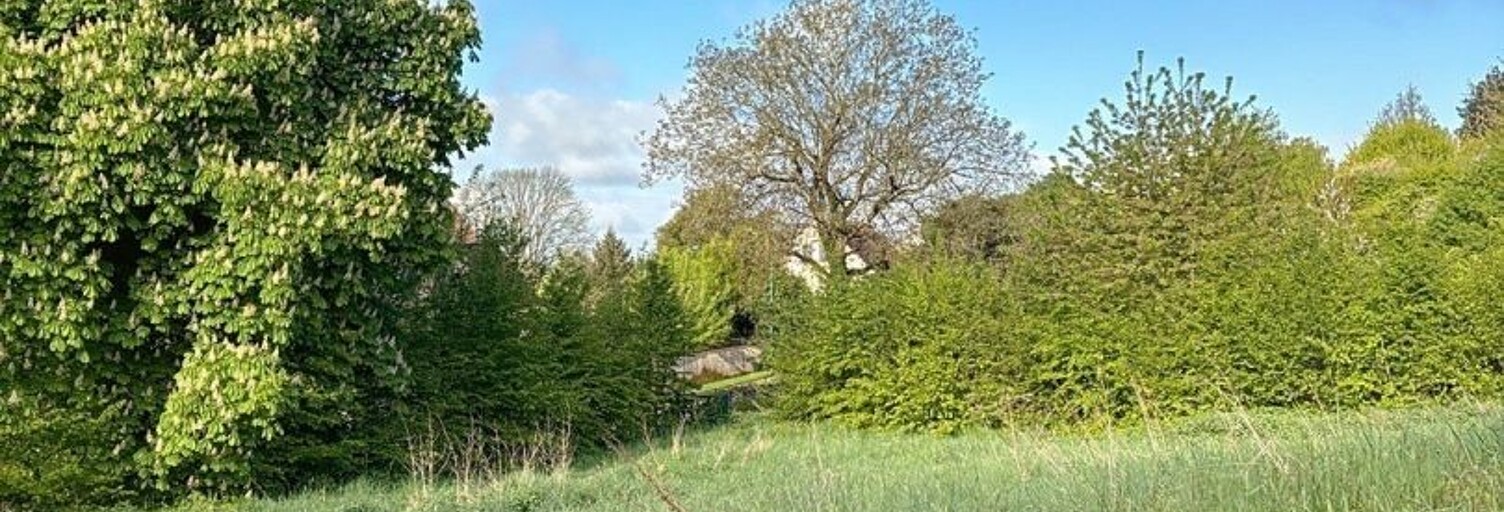 Terrain  1166 m² à vendre à Mareuil-en-Brie (51270)