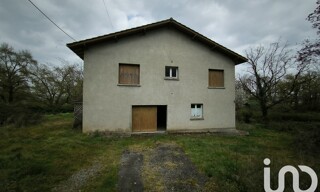 Photo N° 7