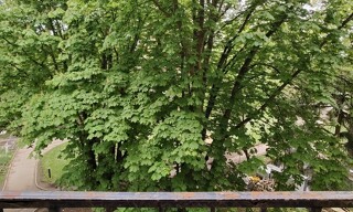 Photo N° 6