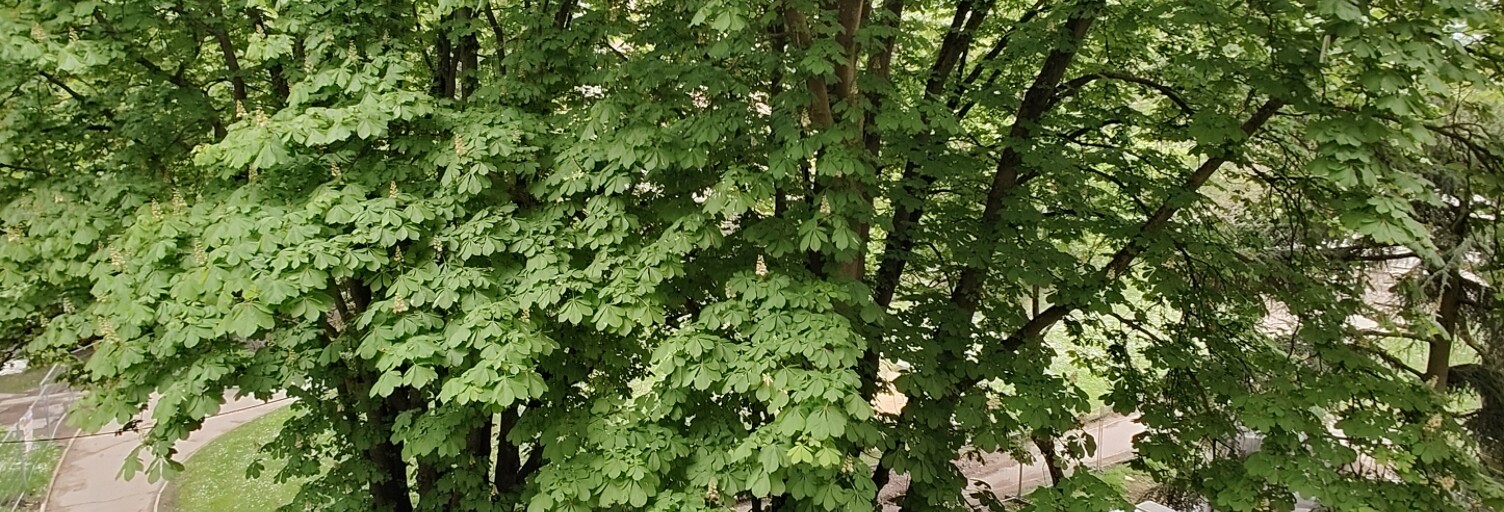 Appartement 3 Pièces 65 m² à vendre à Paris 20 (75020)