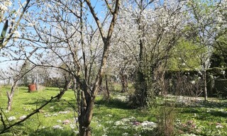 Photo N° 2