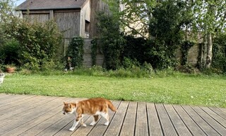 Photo N° 6