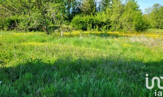 Photo N° 4