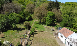 Photo N° 15