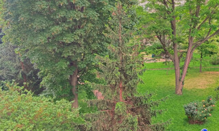 Photo N° 6