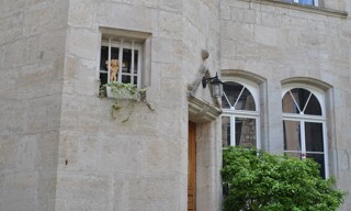 Photo N° 2