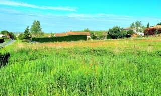 Photo N° 6
