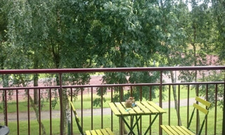 Photo N° 5
