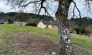 Photo N° 6