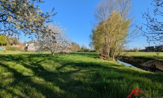 Photo N° 4