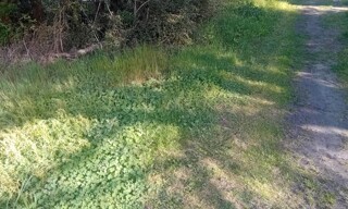 Photo N° 3