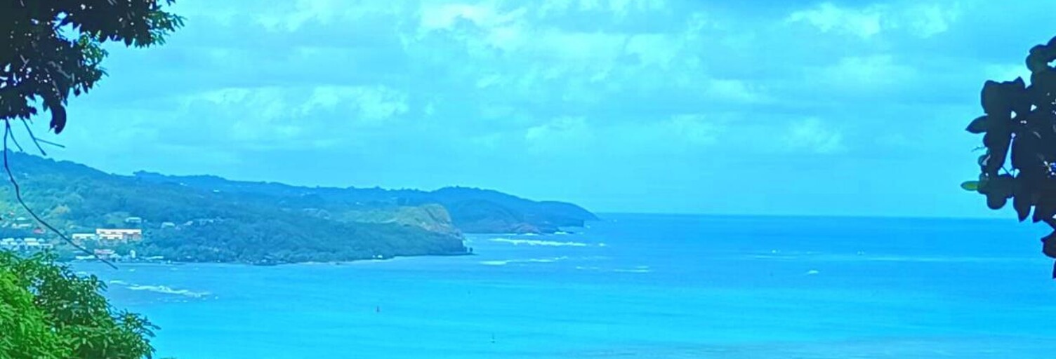 Terrain  2286 m² à vendre à La Trinité (97220)