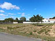 A VENDRE TERRAIN SURGERES — photo 2