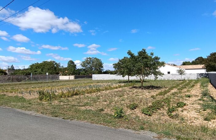 A VENDRE TERRAIN SURGERES — photo 2