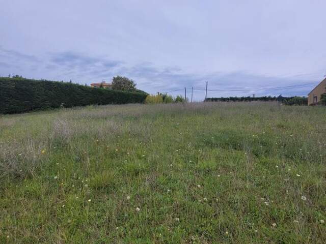 Terrain TOULOUSE / LACROIX FALGARDE — photo du bien