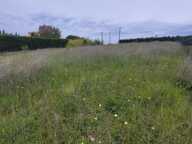 Terrain TOULOUSE / LACROIX FALGARDE — photo 2