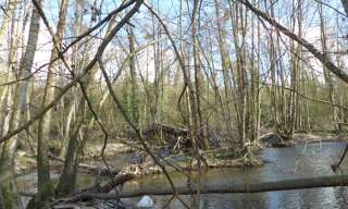 Maison  2345 m² à vendre à Airvault (79600)