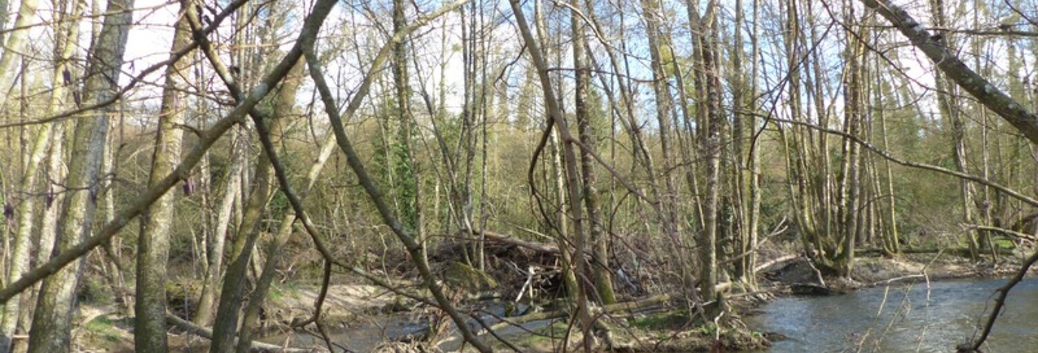 Maison  2345 m² à vendre à Airvault (79600)