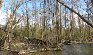 Photo N° 2