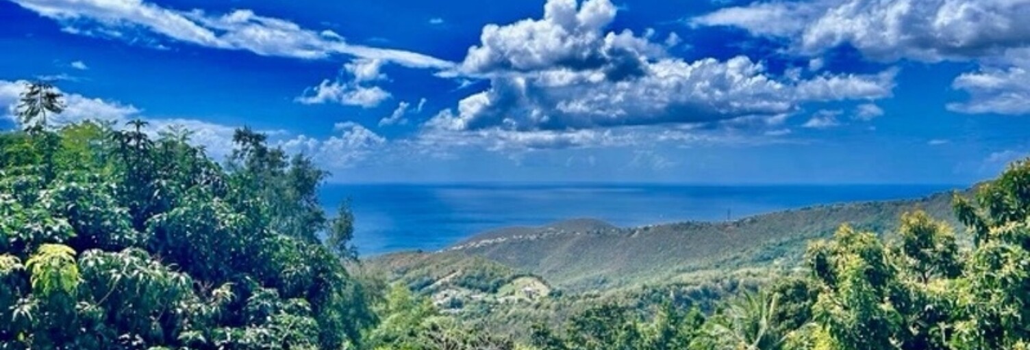 Terrain  1689 m² à vendre à Case-Pilote (97222)