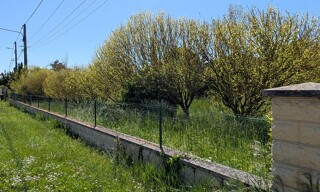 Photo N° 16