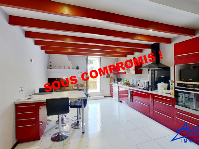 VASTE MAISON CHALEUREUSE — photo du bien