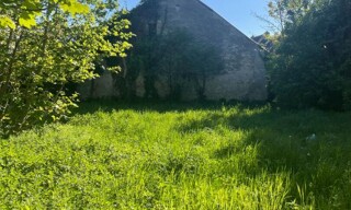 Photo N° 4