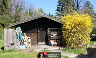 Photo N° 3
