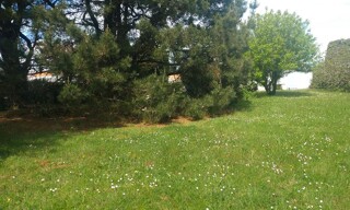 Photo N° 3
