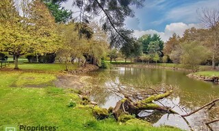 Photo N° 5