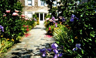 Photo N° 2