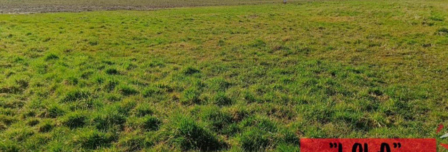 Terrain  985 m² à vendre à Mécringes (51210)