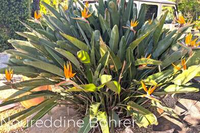 Maison 7 pièces 3200000 €