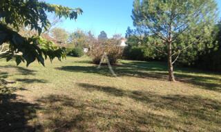 Photo N° 5