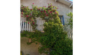 Maison 6 Pièces 142 m² à vendre à Lavaur (81500)